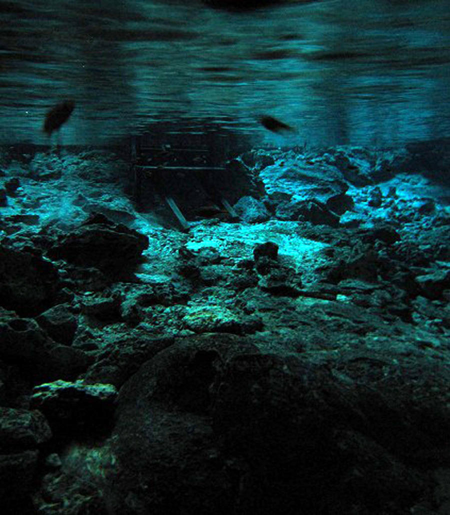 Cenote Dos Ojos