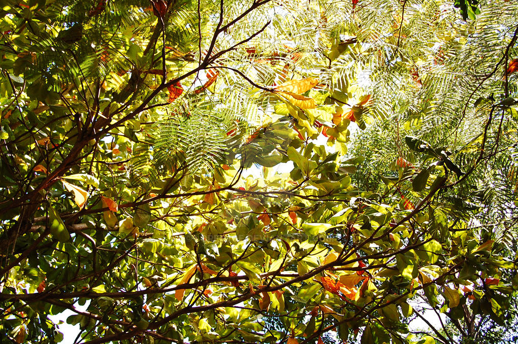 Cierra los ojos y observa los colores