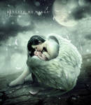 .: BENEATH MY WINGS :. by brethdesign