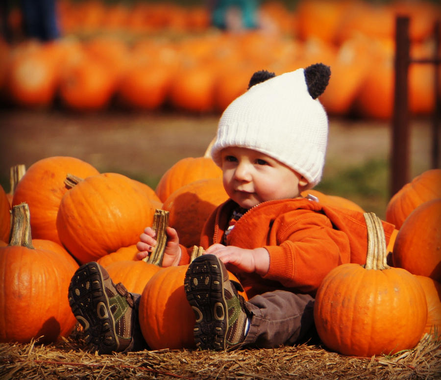 Look, A Pumpkin!