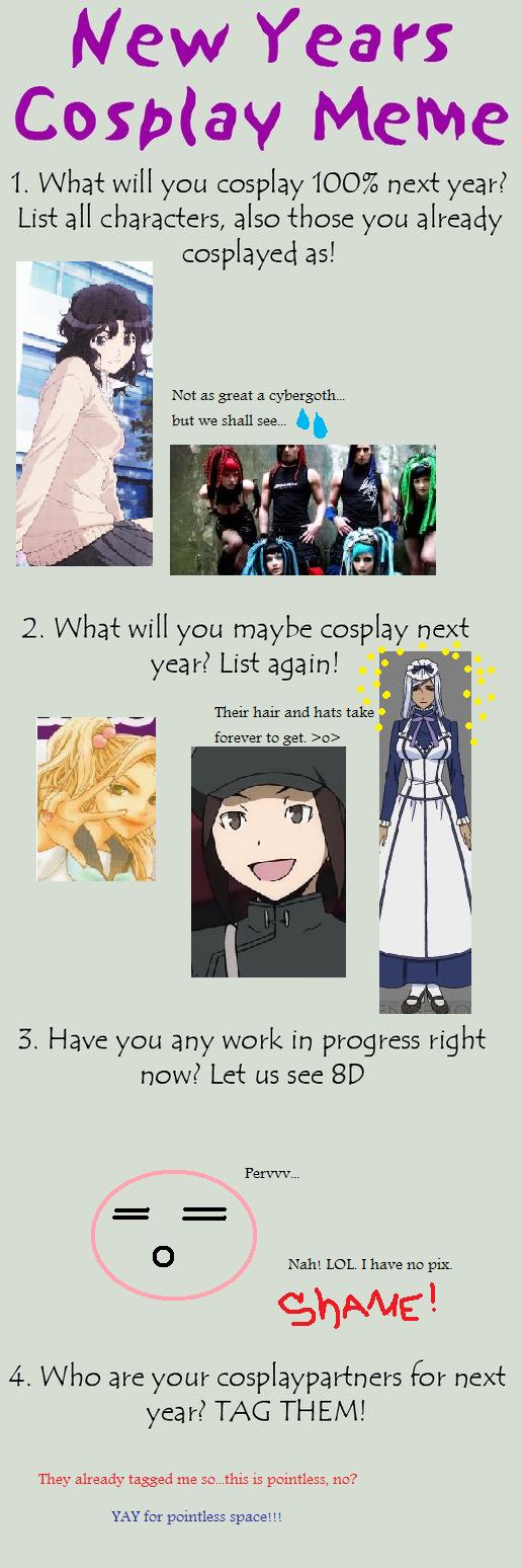 New Years Cosplaying Meme 2011