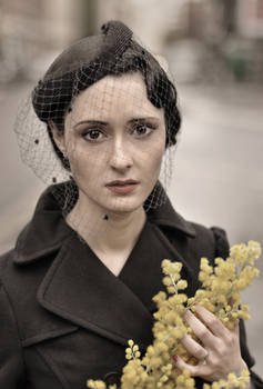 Yellow Flowers