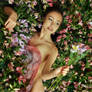 Flower Dreams II