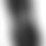 Torso