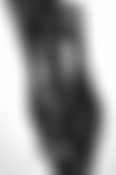Torso