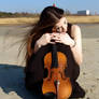 Harlequin Violin 24