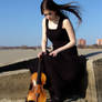 Harlequin Violin 31