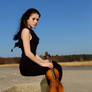 Harlequin Violin 37