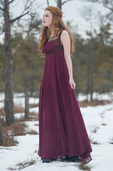 Frostblommor 8