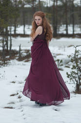 Frostblommor 10