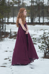 Frostblommor 11