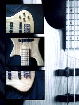 bass 2