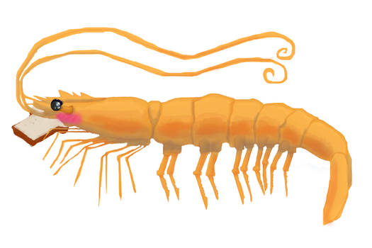 Prettiest Shrimp (requester Saturdays)