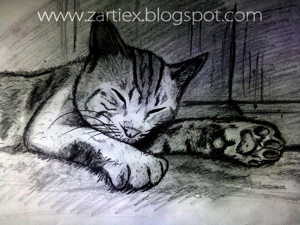 Dibujos de gatos a lapiz by Zartiex on DeviantArt