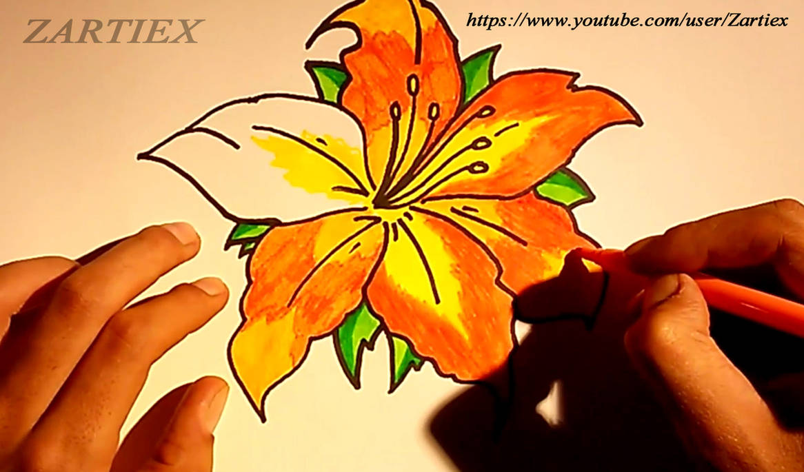 Rosas rojas dibujos de flores imagenes de flores y by Zartiex on DeviantArt Rosas rojas dibujos de flores imagenes de flores y by Zartiex on DeviantArt