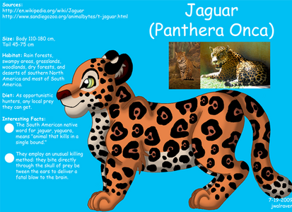 Jaguar Info