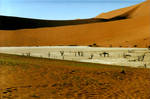 more namibian dunes by Xmiaww-im-a-muffinX