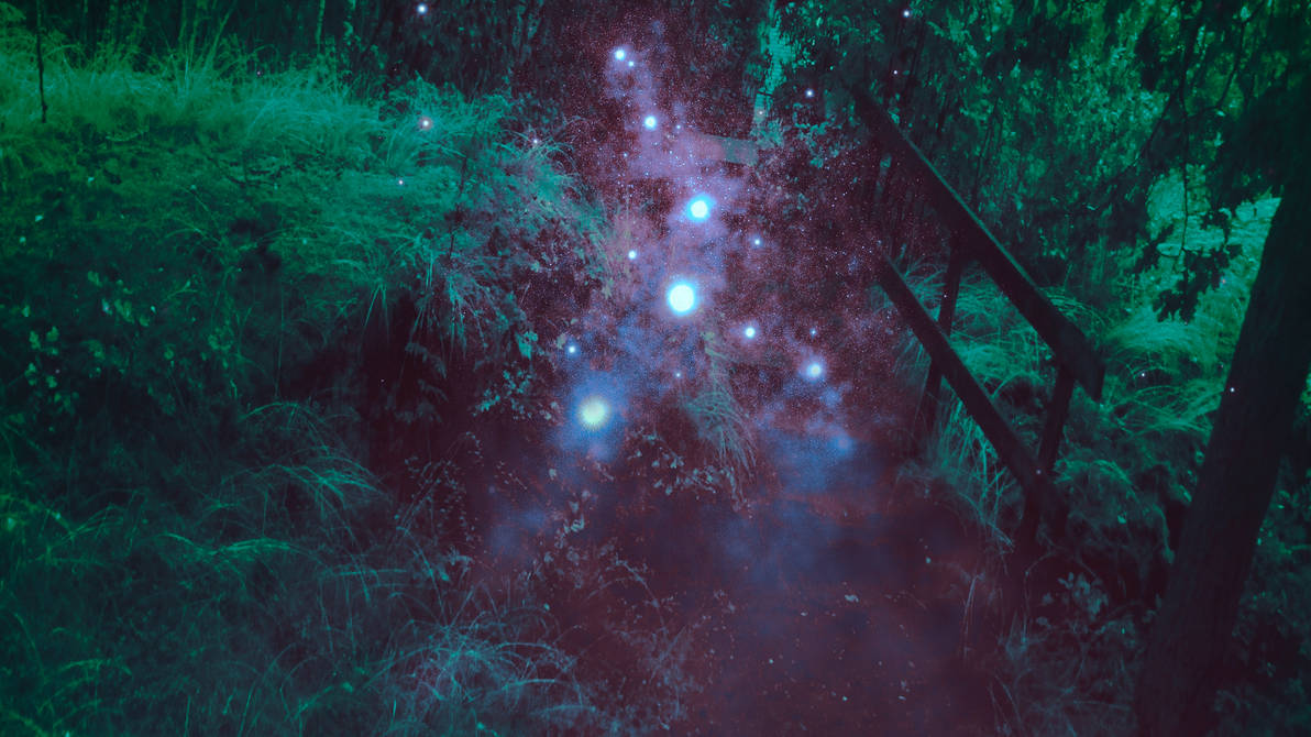 The Unknown Path by Zoos83 on DeviantArt