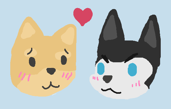 Hus x Shibe