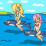 dolphins fun