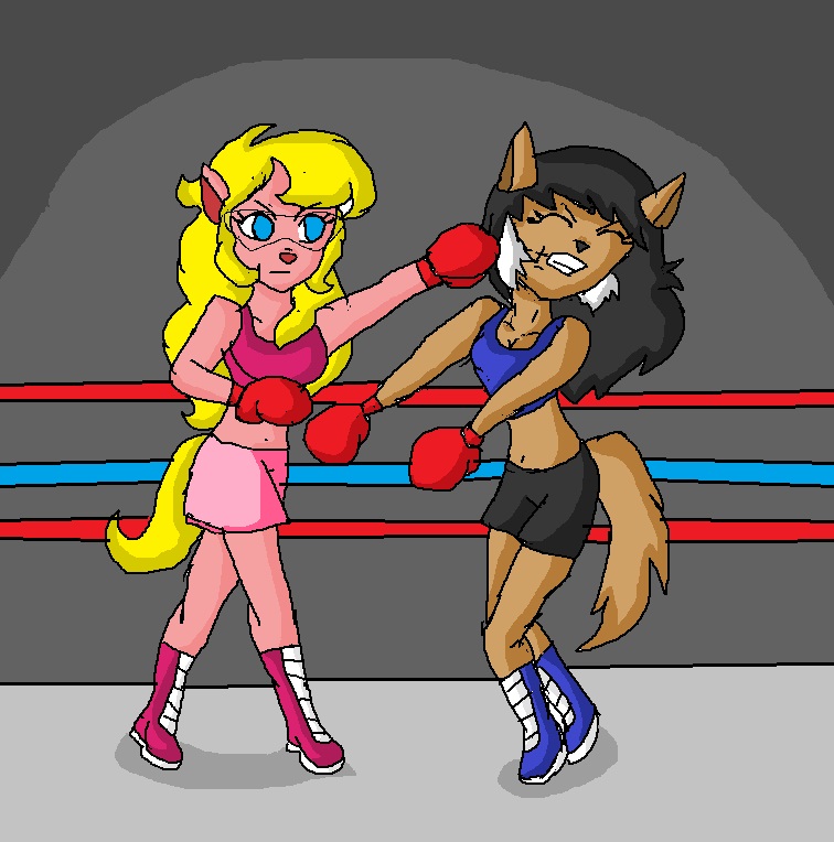 callie and felina boxing match