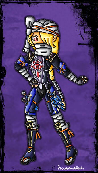 Sheik-hyrule warriors