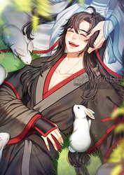 MDZS