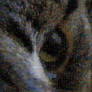 Cat Eye Mosaic