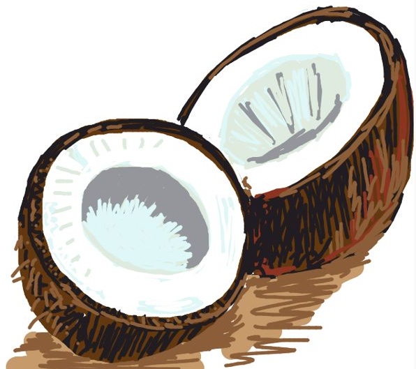 Coconut