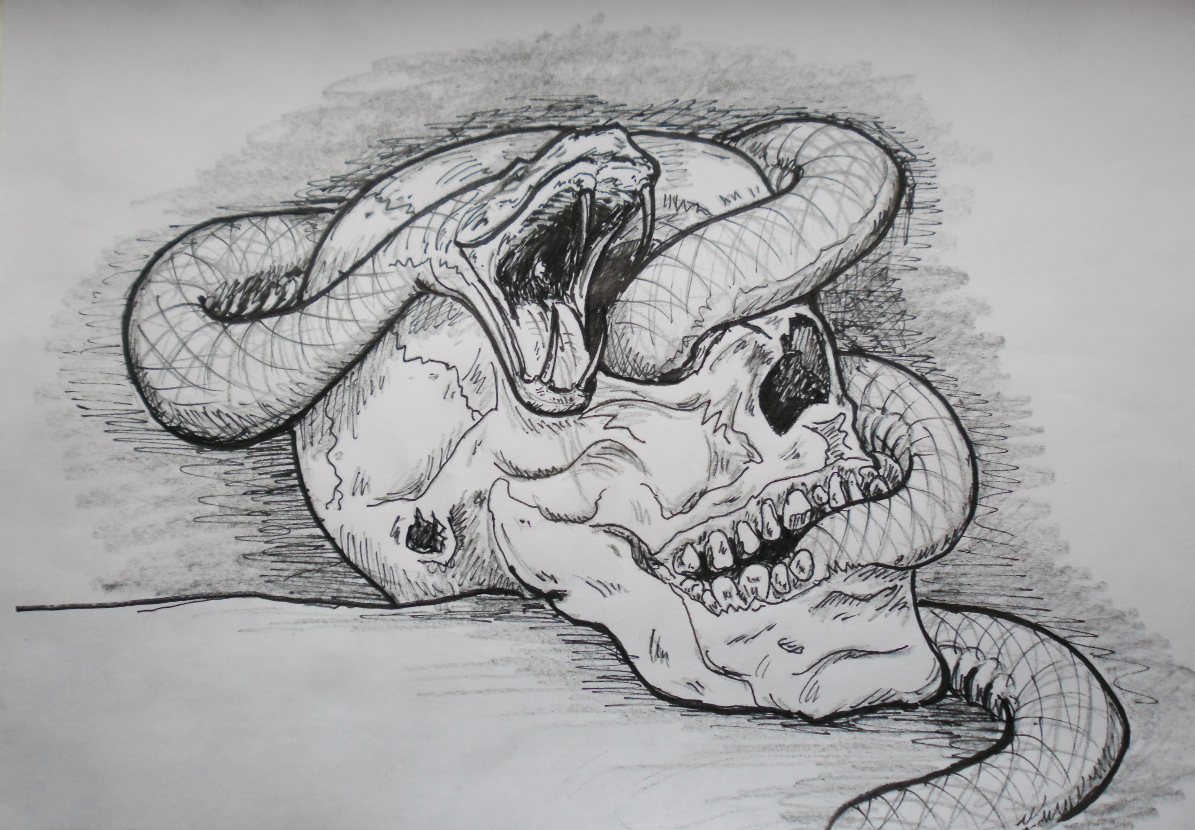 Snake and skull