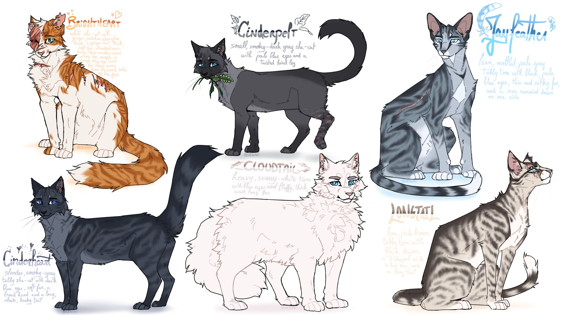 some warrior cats designs #3 by BlueLeafCisco on DeviantArt