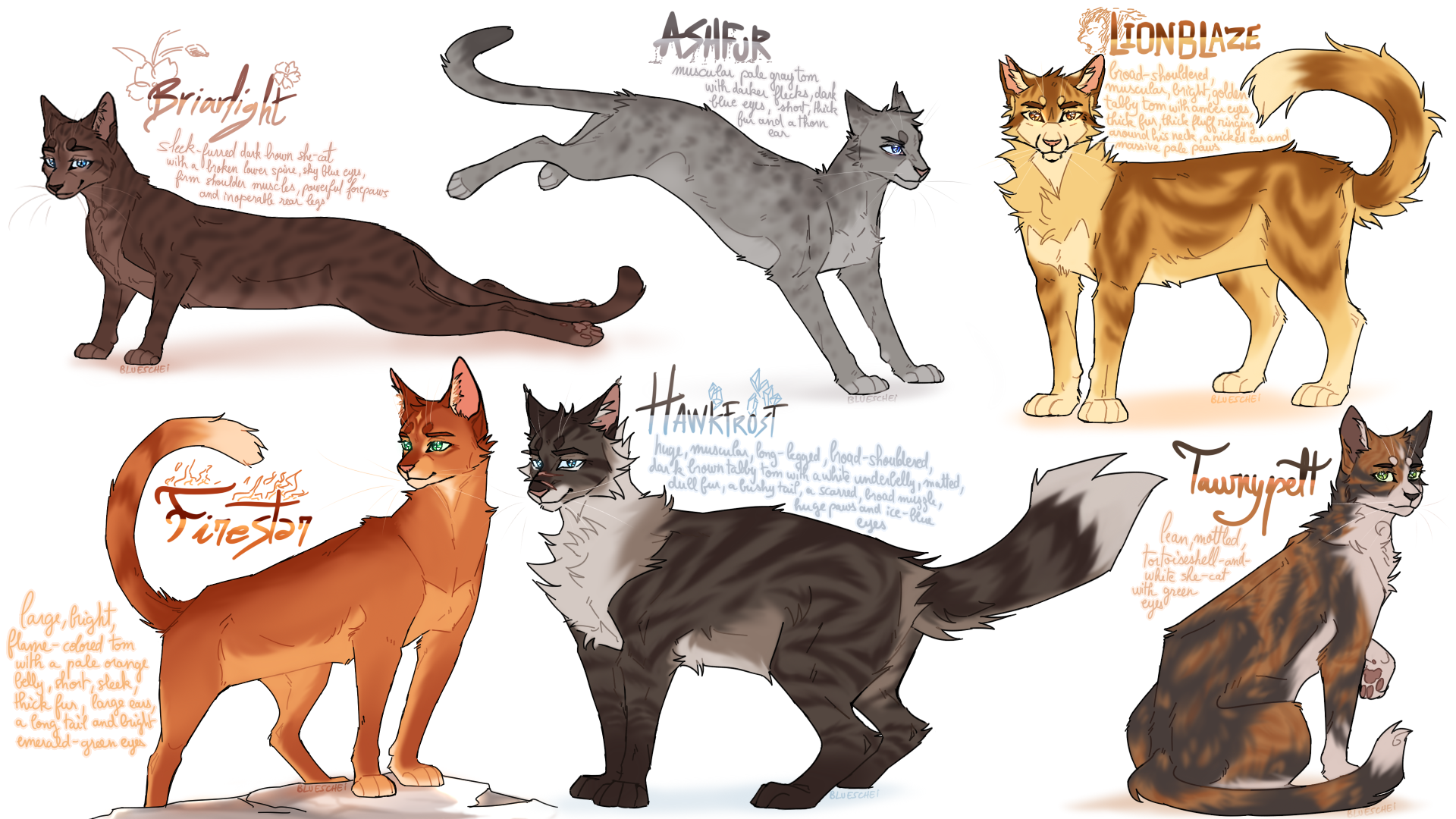 some warrior cats designs #3 by BlueLeafCisco on DeviantArt