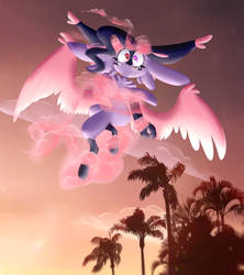 Sunset Flyby