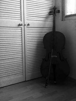 White Cello Life