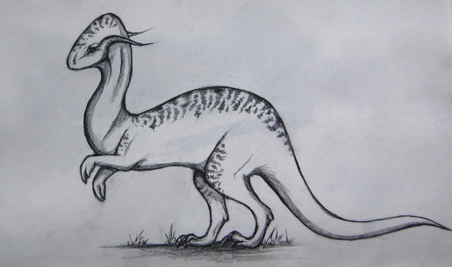 Insectosaurus Drawing Creature by Izzy-Art on DeviantArt