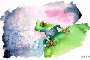 A frogs dreams