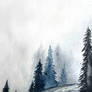 Smelling grey days ahead