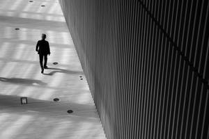 Shadows of Art