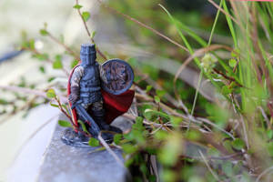 The knight I see