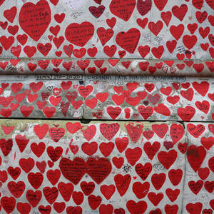 50 hearts+