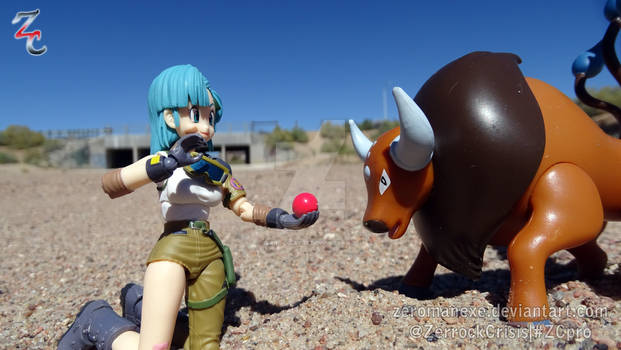 Explore The Best ポケモンケンタロス Art Deviantart Explore The Best ポケモンケンタロス Art Deviantart