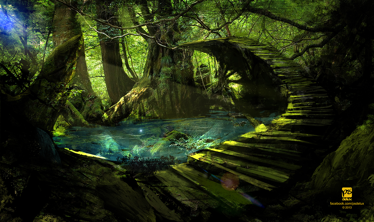 Forest