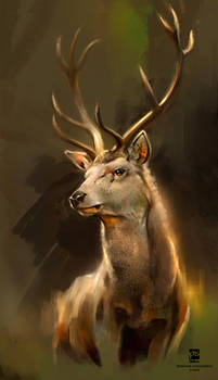 20160715 Deer Psdelux