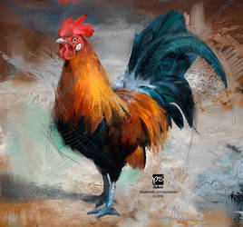 20161225 Rooster Psdelux