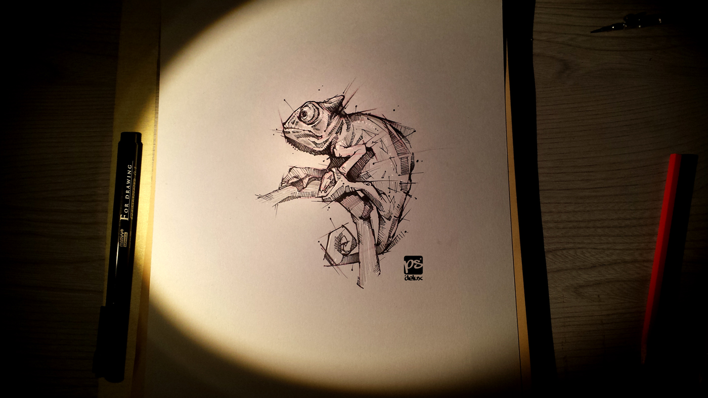 Chameleon Sketch Psdelux