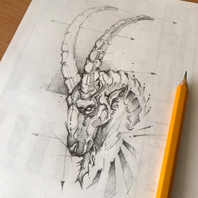 Animal Sketch Psdelux