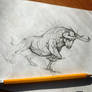 Bull Sketch Psdelux