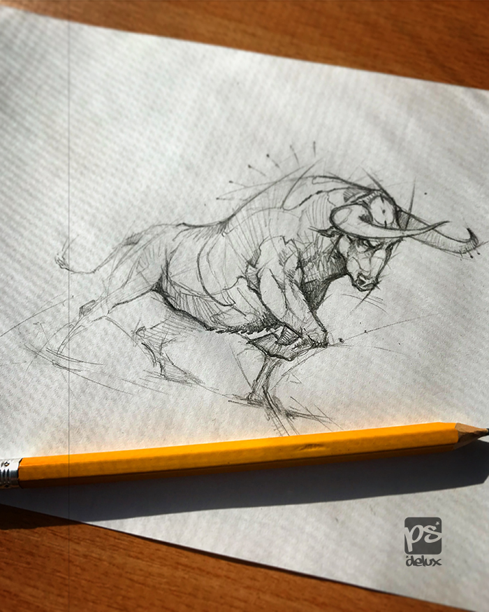 Bull Sketch Psdelux