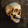 Skull Psdelux
