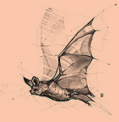 20171101 Bat Psdelux